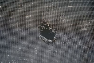 Repair Holes in the Screen Door!